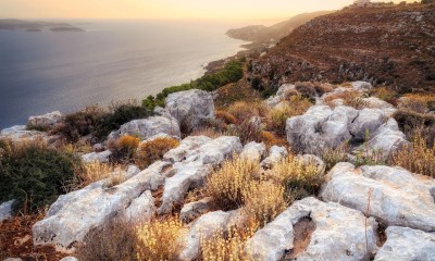 Exploration de la Nature en Crète
